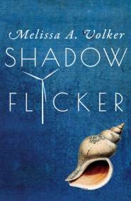 Shadow Flicker